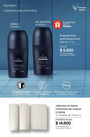 Catálogo Natura Página 102