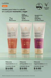 Catálogo Natura Página 230