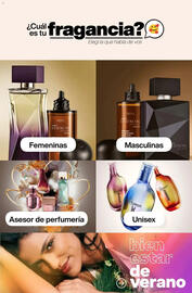 Catálogo Natura Página 62