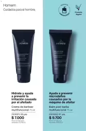 Catálogo Natura Página 103