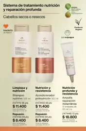 Catálogo Natura Página 239