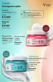 Catálogo Natura Página 258