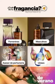 Catálogo Natura Página 62