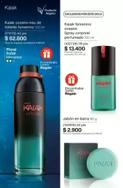 Catálogo Natura Página 85