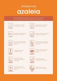 Catálogo Azaleia Página 2