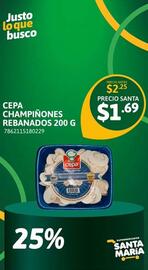 Catálogo Santa Maria Página 4