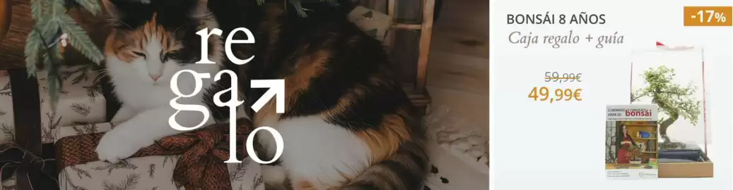 Catálogo Verdecora Página 1