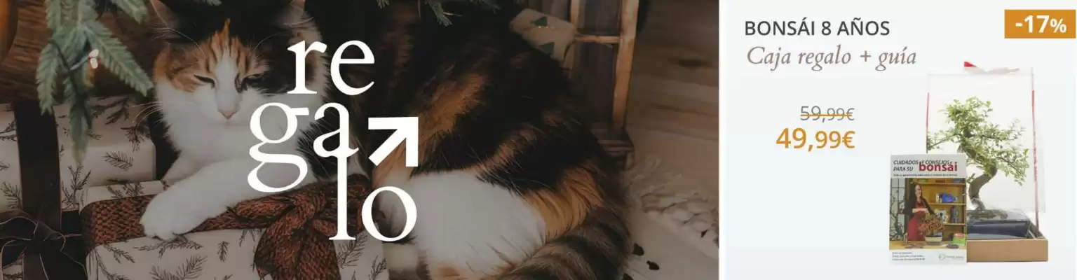 Catálogo Verdecora (válido hasta el 19-01)