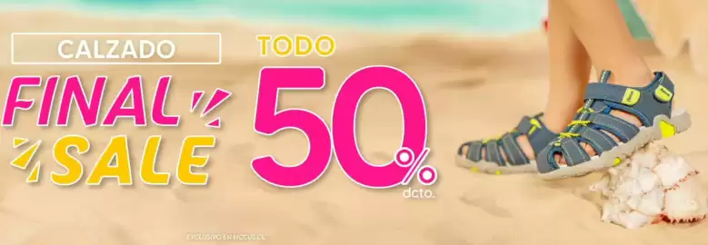 Catálogo Ficcus Página 2