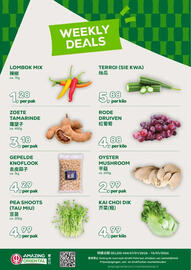 Amazing Oriëntal folder week 2 Pagina 1