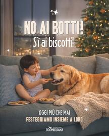 Volantino Zoomiguana Pagina 1