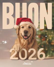 Volantino Zoomiguana Pagina 2