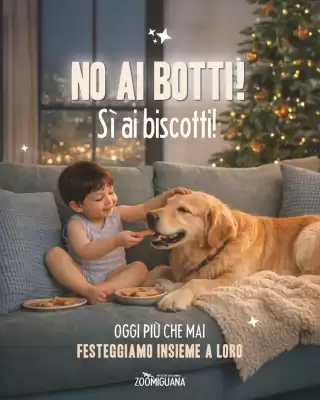 Volantino Zoomiguana (valido fino al 15-01)