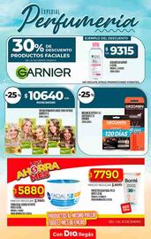 Folleto Supermercados DIA semana 2 Página 10