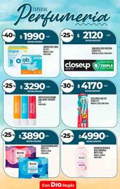 Folleto Supermercados DIA semana 2 Página 11