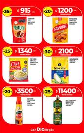 Folleto Supermercados DIA semana 2 Página 19