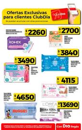 Folleto Supermercados DIA semana 2 Página 53