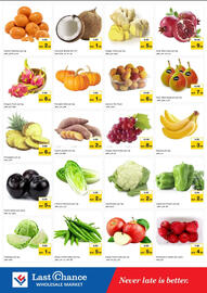 Last Chance flyer Page 2