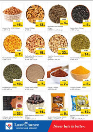 Last Chance flyer Page 7