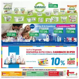 Volantino Iper La Grande Pagina 41