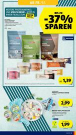 Hofer Flugblatt woche 2 Seite 11