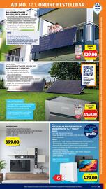 Hofer Flugblatt woche 2 Seite 29