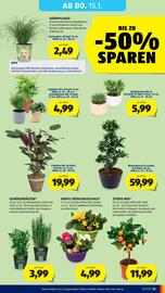 Hofer Flugblatt woche 2 Seite 37