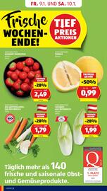 Hofer Flugblatt woche 2 Seite 4