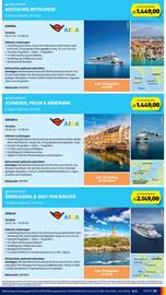 Hofer Flugblatt woche 2 Seite 43