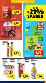 Hofer Flugblatt woche 2 Seite 13