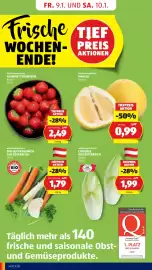 Hofer Flugblatt woche 2 Seite 4