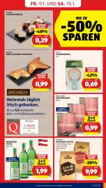 Hofer Flugblatt woche 2 Seite 7