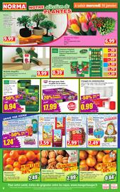 Catalogue Norma semaine 3 page 4