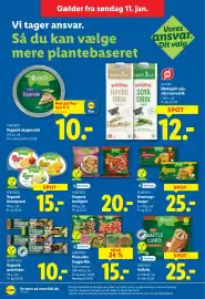 Lidl tilbudsavis uge 3 Side 9