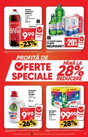 Catalog PROFI Pagină 3