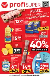 Catalog PROFI Pagină 1