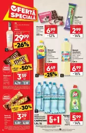 Catalog PROFI Pagină 4