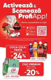 Catalog PROFI Pagină 5
