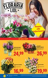 Catalog Lidl săptămâna 3 Pagină 42
