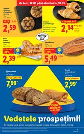 Catalog Lidl săptămâna 3 Pagină 7