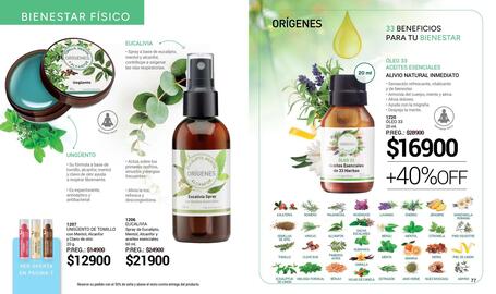 Catálogo Arbell Página 39