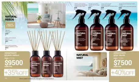 Catálogo Arbell Página 62