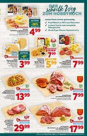 Billa Flugblatt woche 2 Seite 11