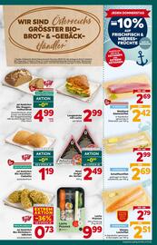 Billa Flugblatt woche 2 Seite 13