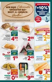 Billa Flugblatt woche 2 Seite 13