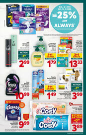 Billa Flugblatt woche 2 Seite 19