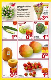 Billa Box Flugblatt woche 2 Seite 8