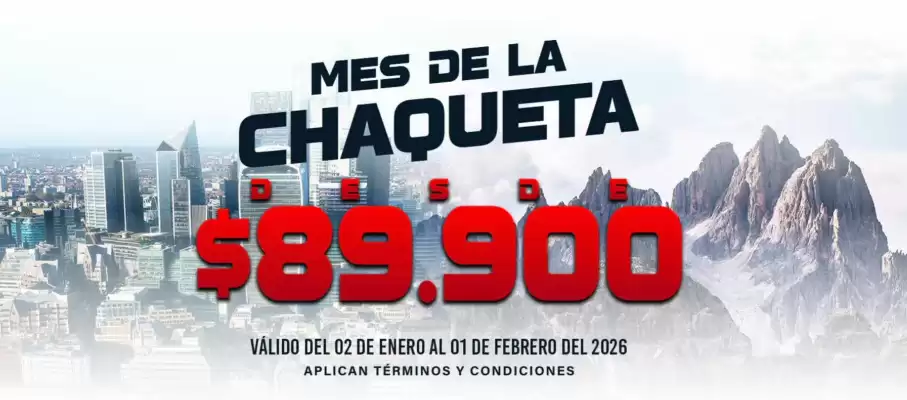 Catálogo Roott + Co (válido hasta 2-02)