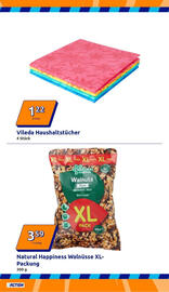 Action Prospekt woche 2 Seite 17