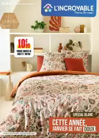 Catalogue L'incroyable page 1